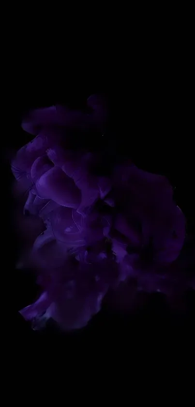 Mystical purple smoke in dark abstract design background.