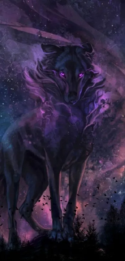 Mystical purple wolf on a starry night wallpaper.