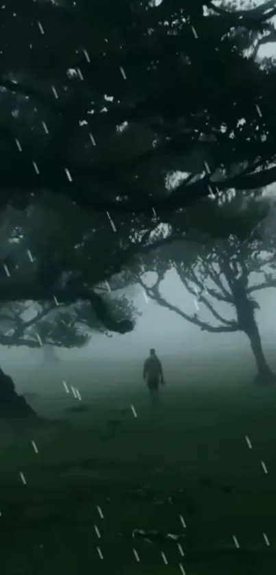 Mystical scene of a solitary figure walking in a rainy forest.