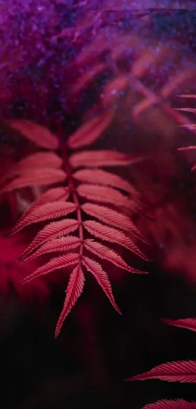 Mystical red fern with purple and blue hues on a mobile wallpaper.