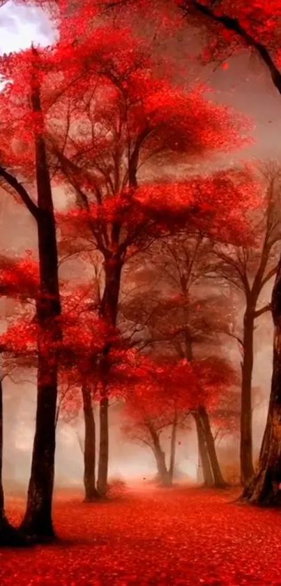 Mystical forest wallpaper with red trees and a full moon.