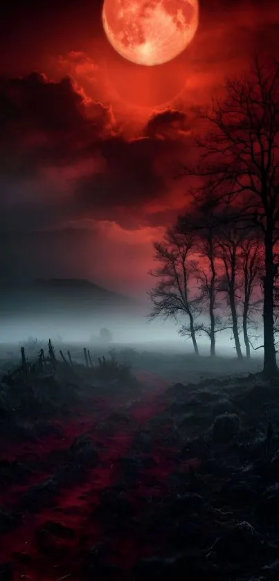 Mystical red moon landscape with foggy, dark trees and path.