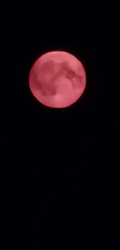 A bright red moon against a dark sky, creating a mystical night scene.