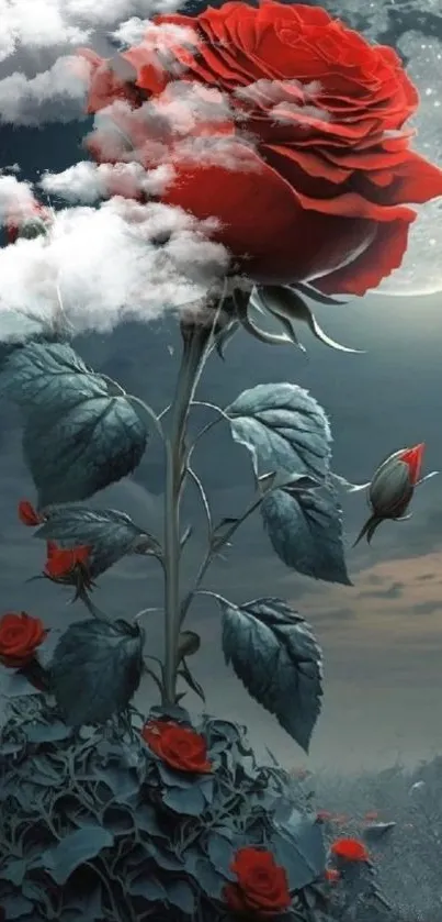 Mystical wallpaper with a red rose and moonlit sky.