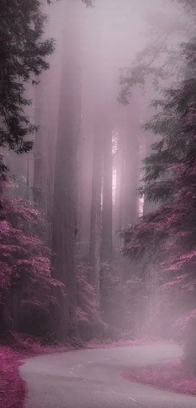 Purple forest with a misty road winding through trees.