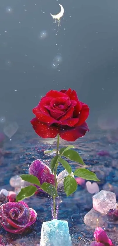 Mystical red rose under a crescent moon on blue background.