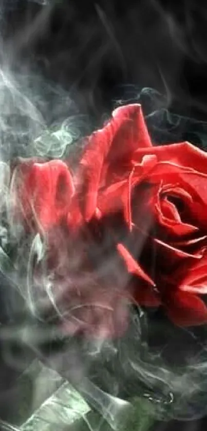 Captivating red rose with ethereal smoke on a dark background.