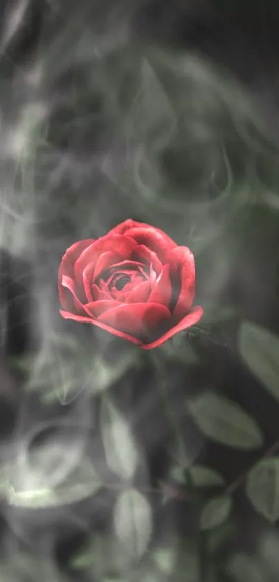 Vibrant red rose amidst swirling smoke elegance.