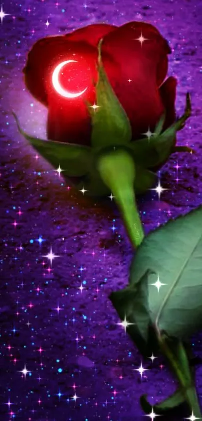 Mystical red rose with crescent moon on a purple galaxy background.