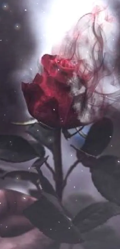 A hand holding a red rose with swirling smoke against a dark background.