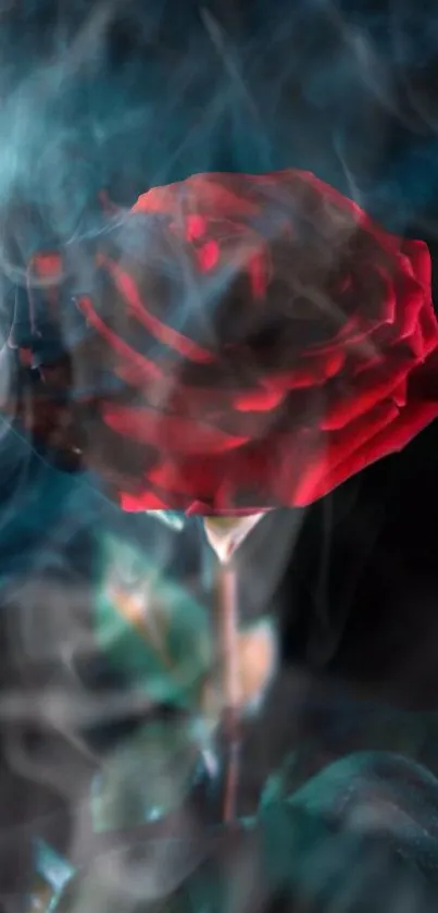 Vibrant red rose surrounded by mystical smoke on a dark background.