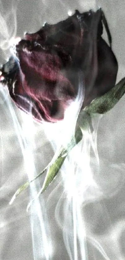 Mystical rose with swirling smoke art.