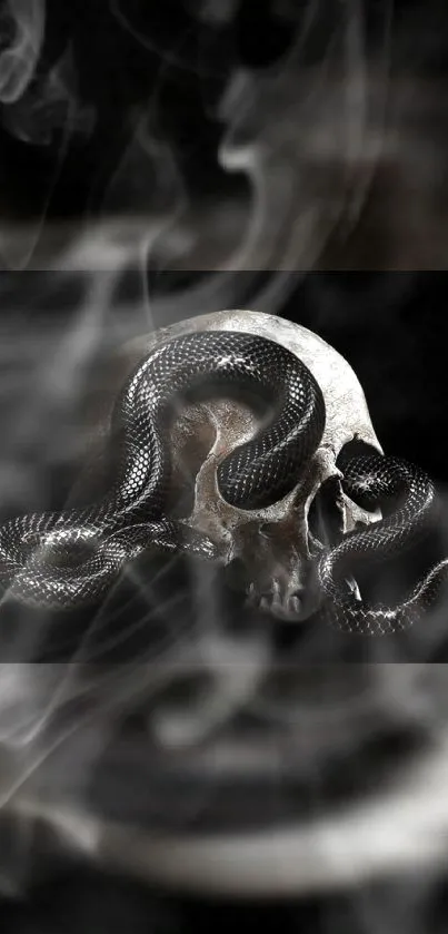 A black snake entwines a skull amidst swirling smoke.