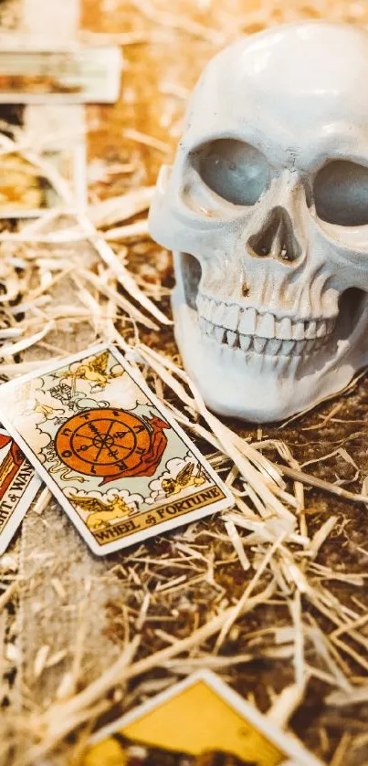 Skull with tarot cards on textured wood surface.