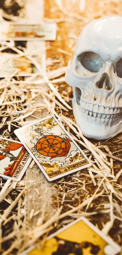 A skull with tarot cards on a textured background.