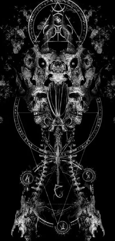 Intricate skull design on a mystical phone wallpaper with a black background.