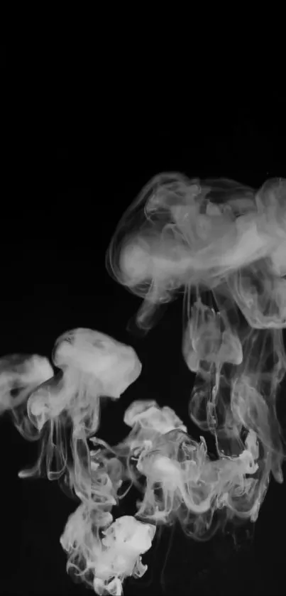 Mystical smoke shapes on a dark background.