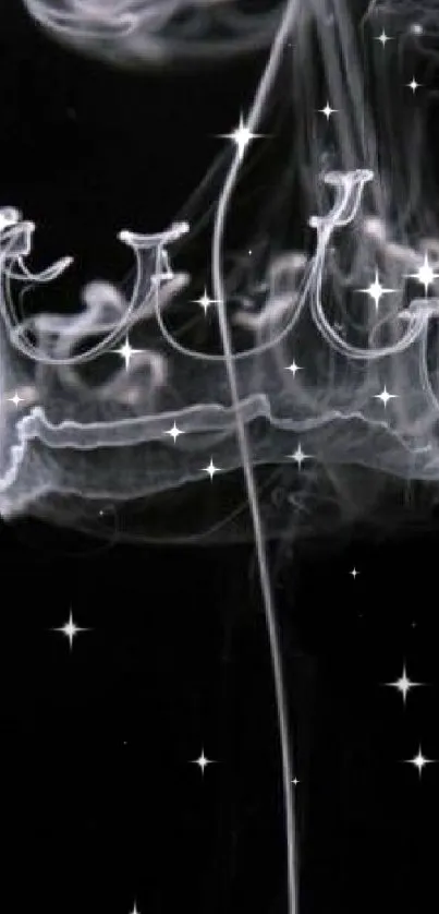 Mystical smoke crown on a dark background, artistic wallpaper.