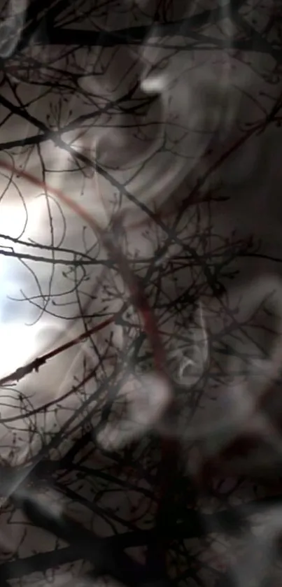 Dark branches with smoke on a mysterious background.