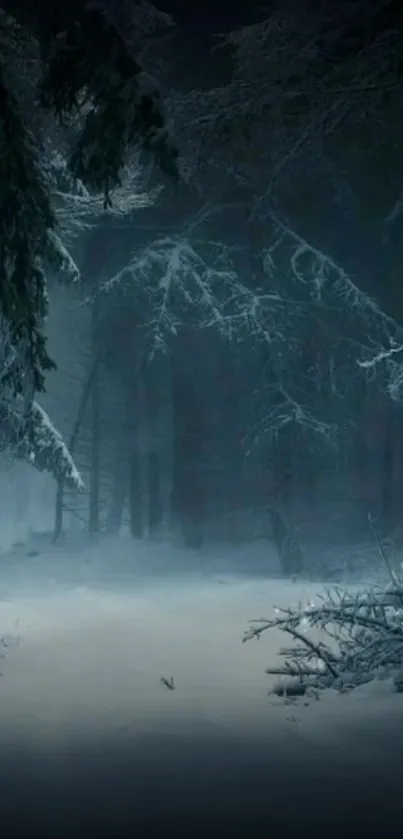 Mystical snowy forest with dark trees and frosty ground