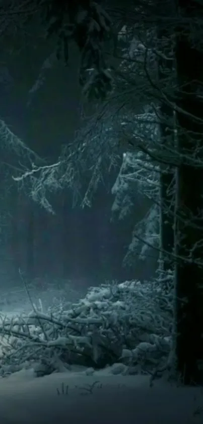 Dark snowy forest with frosty trees and a mystical winter atmosphere.