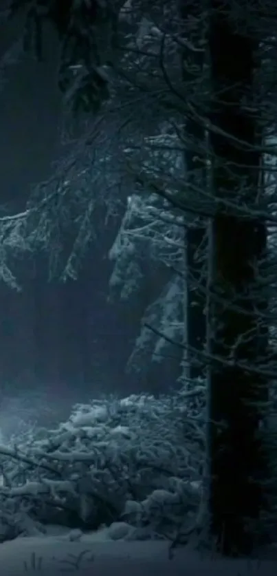 Dark and mystical snowy forest at night.