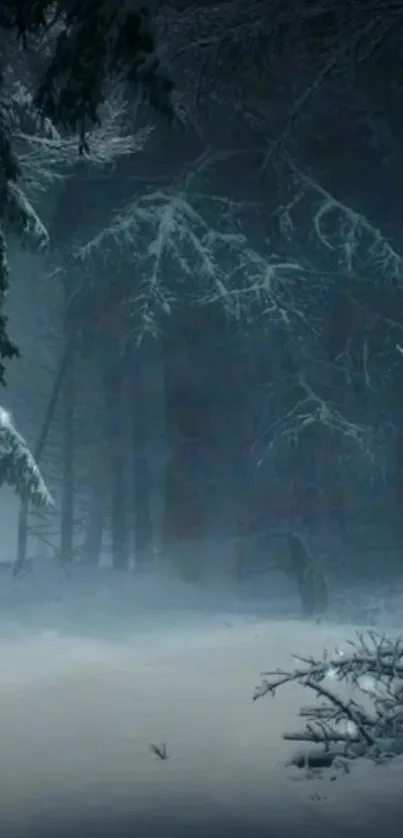 Snowy forest with dark trees and tranquil winter atmosphere.