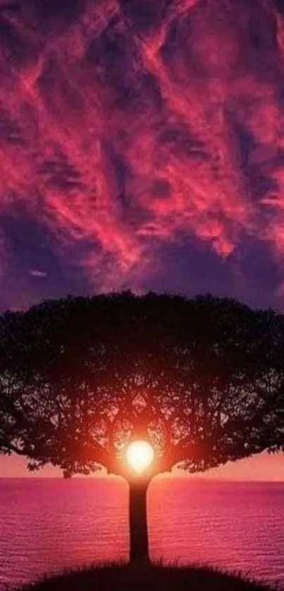 Silhouetted tree against a vibrant sunset sky.