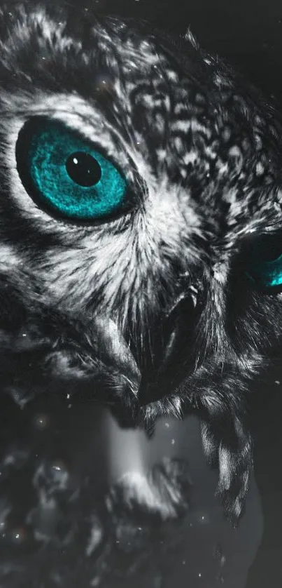 Owl with teal eyes in dark background; nature-themed mobile wallpaper.