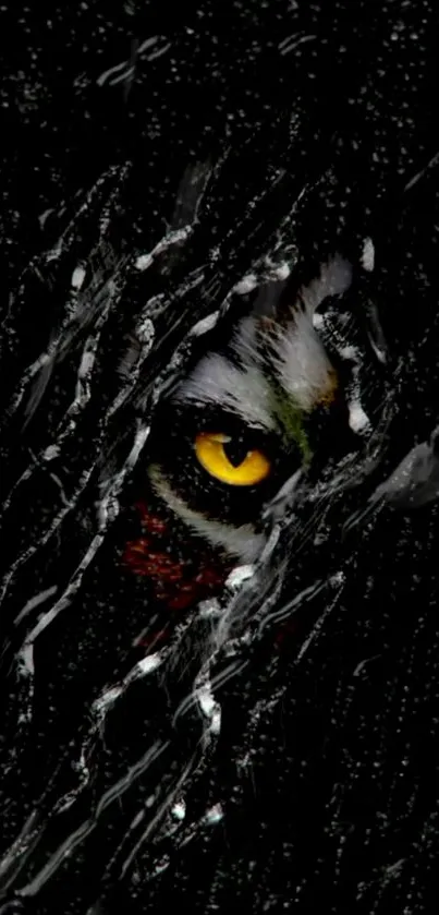 Tiger's eye peering through shadows on a dark background wallpaper.