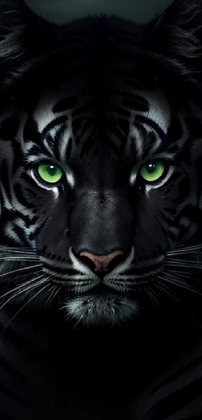Mystical tiger wallpaper with green eyes and dark background.