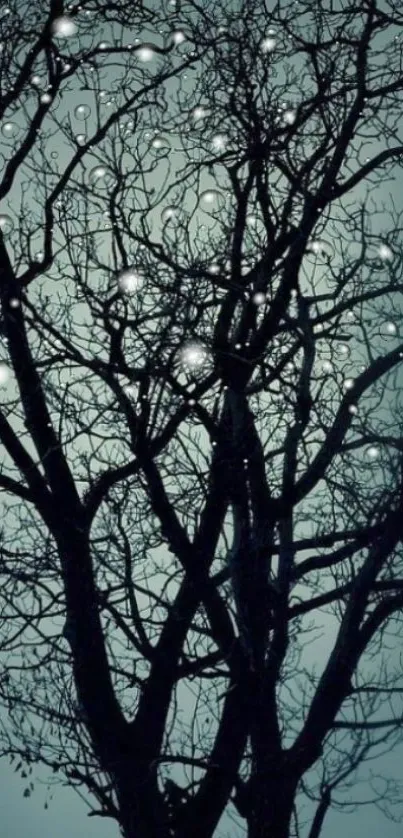 Intricate tree branches against a teal night sky with glowing orbs.