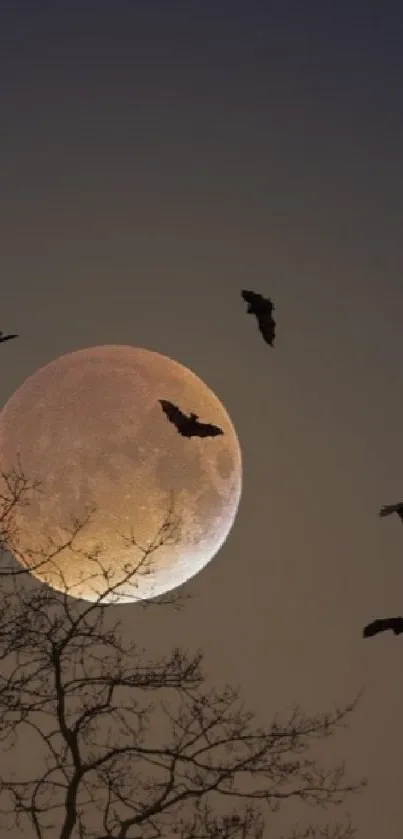 Silhouette of a tree against a moonlit sky with birds flying.