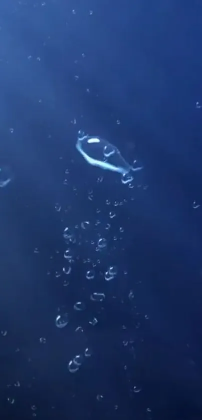 Underwater scene with bubbles rising in dark blue water.