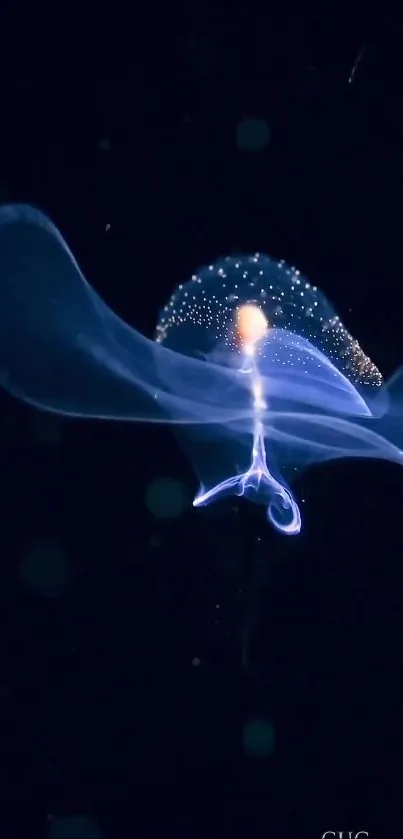 Ethereal jellyfish glows in dark ocean scene