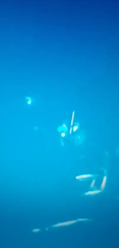 Underwater scene with diver in deep blue hues.