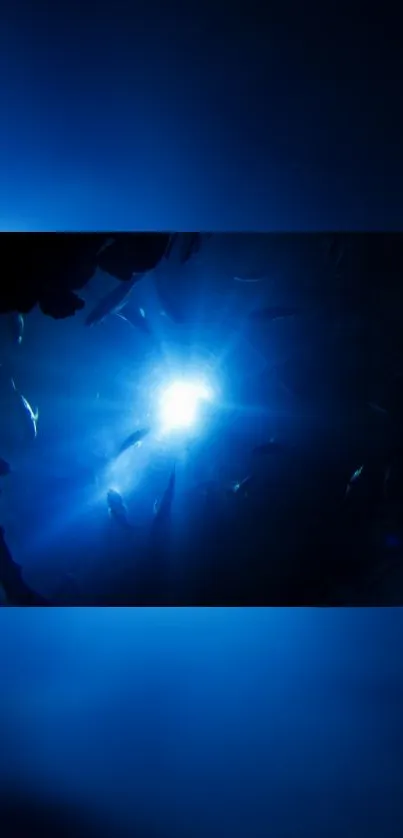 Mysterious underwater scene with glowing blue light and fish silhouettes.