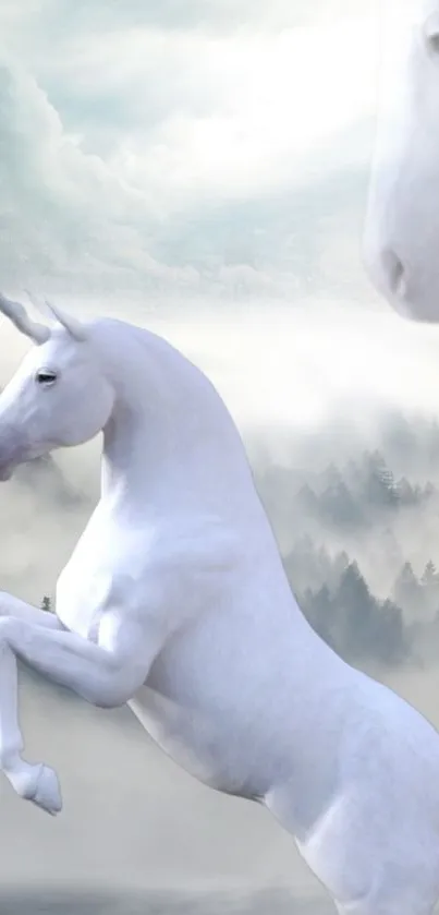 Majestic unicorn in foggy forest wallpaper.