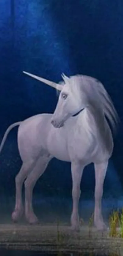 White unicorn in mystical evening forest.