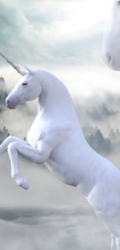 Majestic white unicorn in a foggy forest with a mystical background.