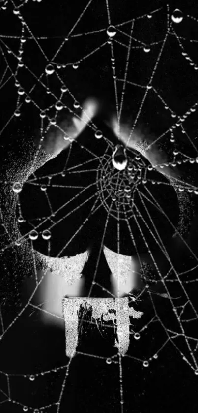 Dark skull with spider web and water droplets on black background wallpaper.