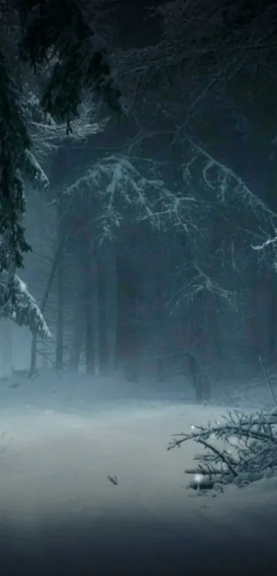 A serene, snow-covered forest path in winter.