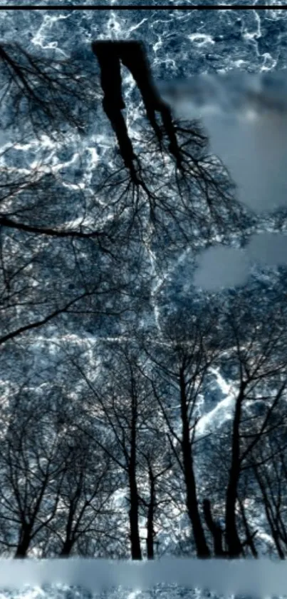 Reflection of winter trees on a blue water surface.