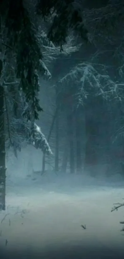 Mystical winter forest with snow and dark trees, creating a serene atmosphere.