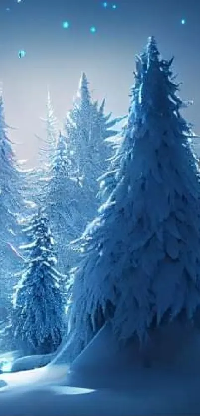 Mystical winter forest with starlit sky and snowy trees.