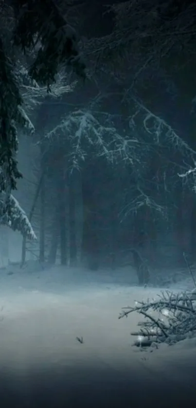 A serene winter forest with snow-covered trees and a tranquil path.