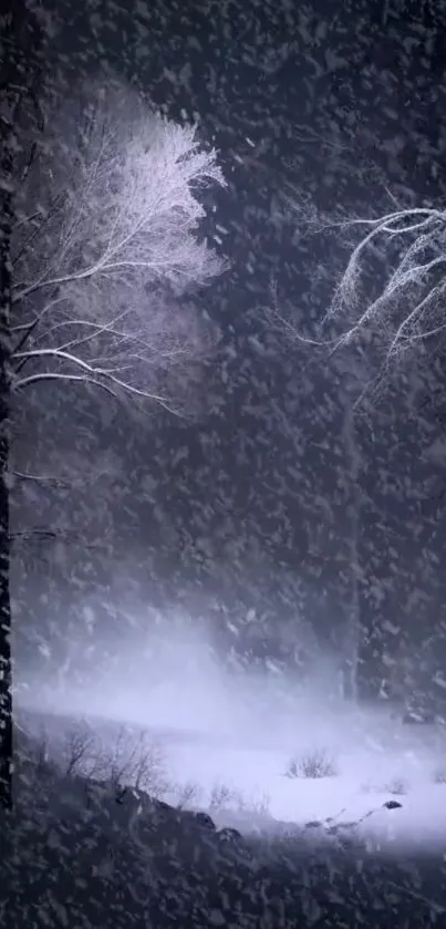 Snow-covered mystical forest at night, perfect for mobile wallpaper.