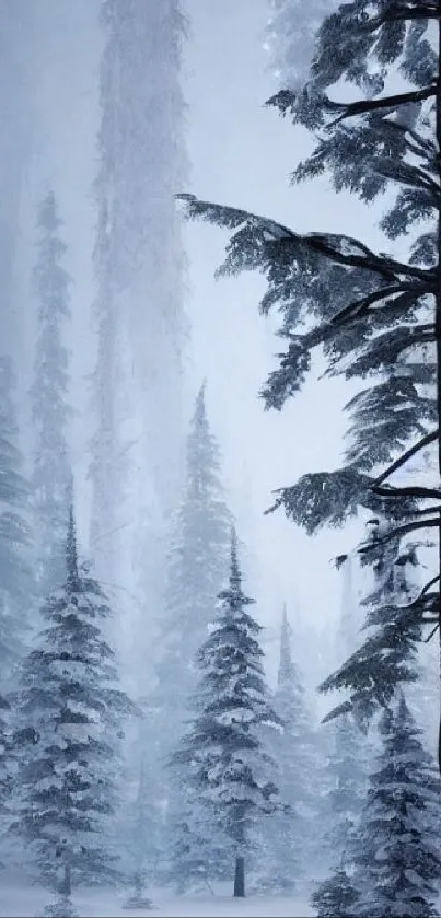 Mystical winter forest wallpaper with snow-covered trees in a serene setting.