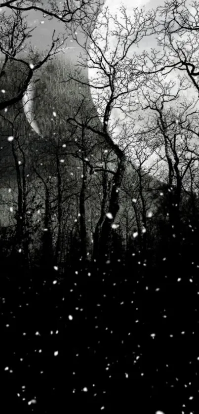 Mystical winter forest with snow and bare trees at night.