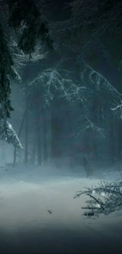 Mystical winter forest with snow-covered trees and dark sky.